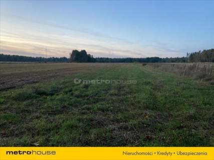 Działka rolna o pow. 6150 m2 - Kośminy