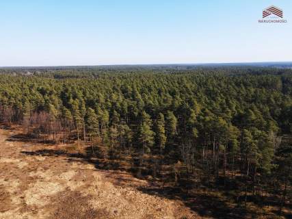 Działka leśna na sprzedaż, 31200 m2, Ruda Kozielska