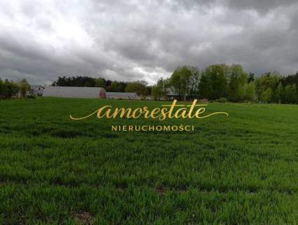 Działka w Bojanie z MPZP 25PU pod halę, magazyn.