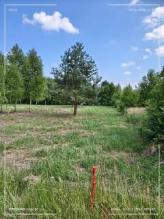 Działka budowlana na sprzedaż, 3200 m2, Antoniew