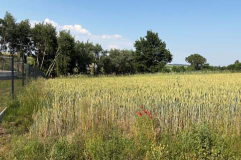 Działka z WZ na sprzedaż Dodów Gm Radziemice