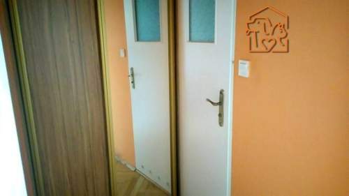 Kawalerka z balkonem, pet friendly, Kusocińskiego