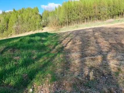 Pole 30ar 30 minut od KRK, Kościejów/Racławice