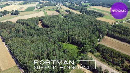 Działka w Dobrzyńcu 15 200 m2