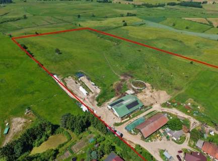 Dochodowe gospodarstwo mleczne, Czerwonka, k/Biskupca.