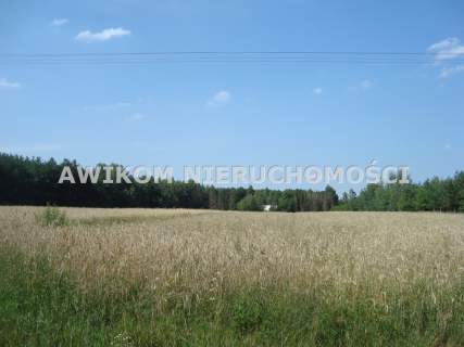 Działka siedliskowa na sprzedaż, 33900 m2, Borowiec