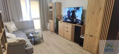 Mieszkanie 2-pokoje -Po remoncie- Umeblowane- Balkon