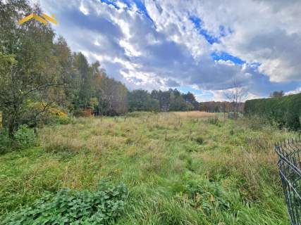 Działa 44,7a pod dom lub inwestycję - Rzeszów