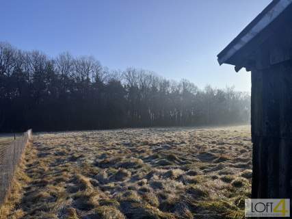 Wyjątkowa, uzbrojona działka pod lasem.