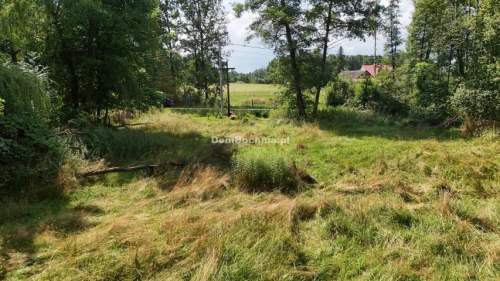 Buczków 17 ar przy drodze blisko lasu