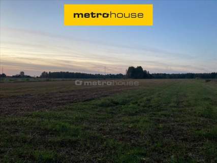 Działka rolna o pow. 6150 m2 - Kośminy