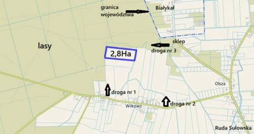 Działka 2,8ha w Dolinie Baryczy Wilkowo