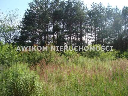 Działka siedliskowa na sprzedaż, 12900 m2, Many