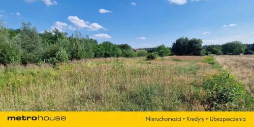 działka budowlana 1362 m Mogilno Duże WZ