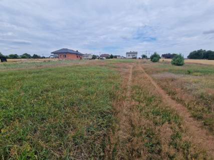 Duża działka budowlana z widokiem na las
