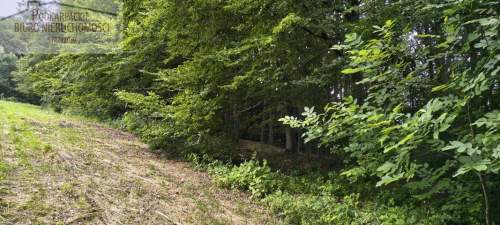 Działka rolna na sprzedaż, 19800 m2, Żarnowa
