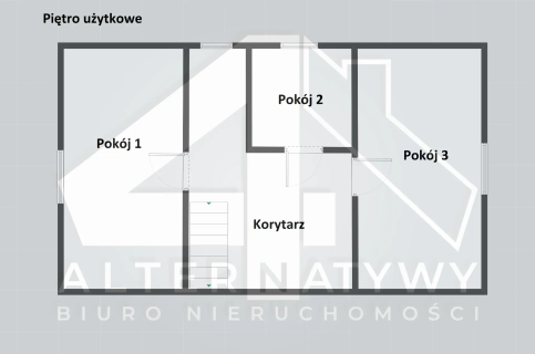 BORZYCHY DOM 250 M OD LIWCA 980 M DZIAŁKI