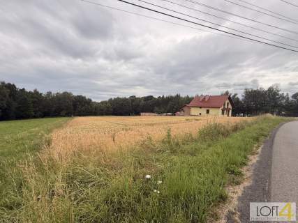 Duża działka z WZ - wiele możliwości