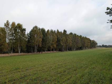 Działka rolna o powierzchni 2581m2, Strzałków, gm. Lisków
