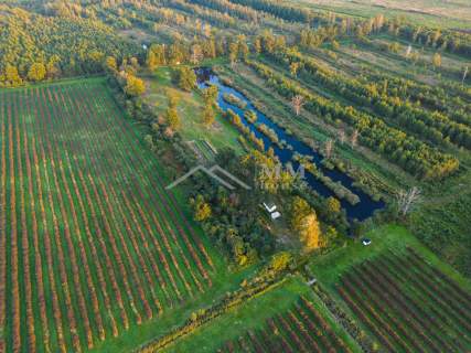 Grunty na Zalewem Wiślanym 21,8200ha