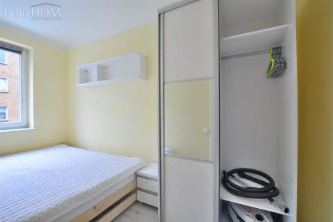 2 pokoje Kampus UJ - mile widziane zwierzęta