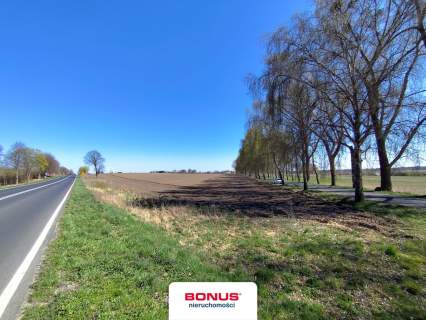 6 ha przy S6 -do podziału, ile m2 potrzebujesz 