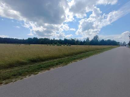 Kompleks 22 działek budowlanych, Borków