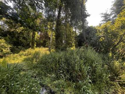 Prywatny park z możliwościa zabudowy/9400m/dostęp do rzeki Zw