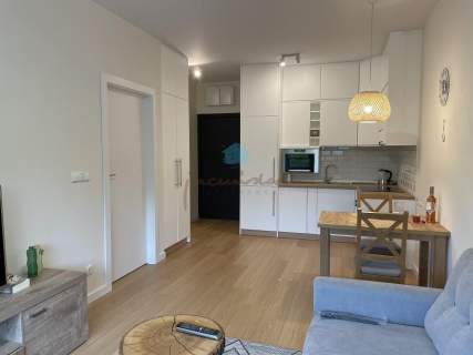 Wynajmę wyposażony apartament Liliowa Gniezno