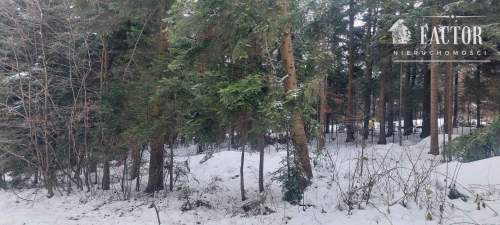 Biała Niżna działka budowlano - rolna 0,6 ha 1159S