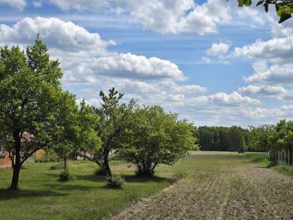 Okazja Siedlisko 10,2659 ha, Juliopol gm. Siemień