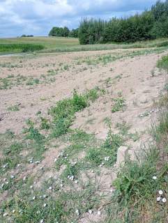działka budowlana 22,40 ara Wz Rzeszów