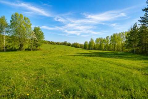 Działka 1700 m2 WZ na 2 Domy Natura Potencjał