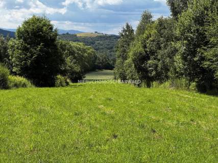 Działka budowlana na sprzedaż, 2934 m2, Lanckorona