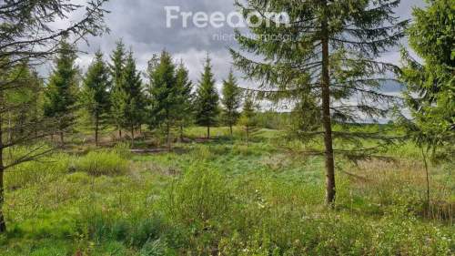 Twoje miejsce ciszy 750m od jeziora Warmia Mazury