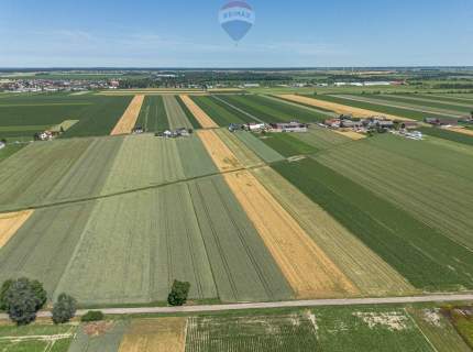 Grunty Rolne 5,80 Ha Magdalenki, Wlkp Klasa III