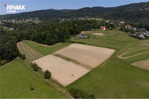 Prywatny las 3331 m2 - Twoja przestrzeń w naturze