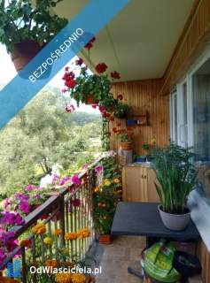 Sprzedam mieszkanie w Bieszczadach 63m2