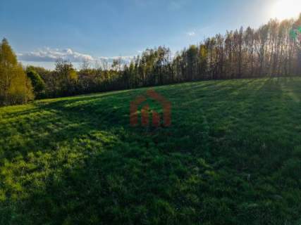 3,33 ha z lasem i strumykiem - teren pod zabudowę