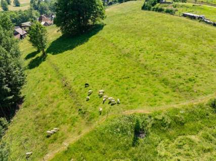 Działka rolna w Brzegach jako lokata kapitału