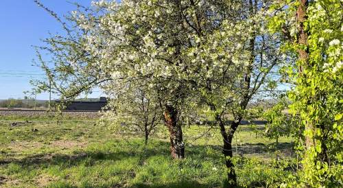 Dom inwestycyjny 2 mieszkania, 14 ar, 150 m2, GM. SKAWINA