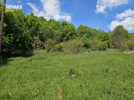Dom w Tresnej z dużą działką 6 421 m