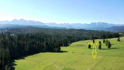 DZIAŁKA W RZEPISKACH Z WIDOKIEM NA TATRY