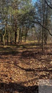 Działka z potencjałem pod bliźniak - 9 arów spokoju blisko sta