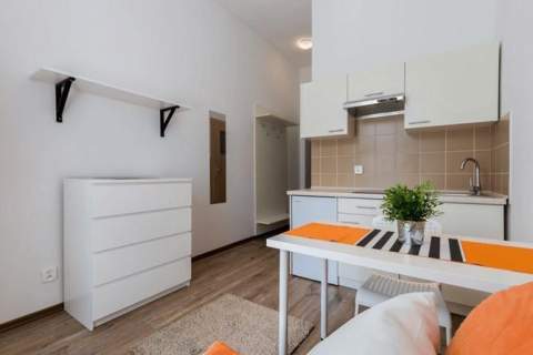 Kawalerka pet friendly, Pabianicka 35, Górna