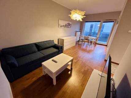 Mieszkanie do wynajęcia, 45 m2, Poznań