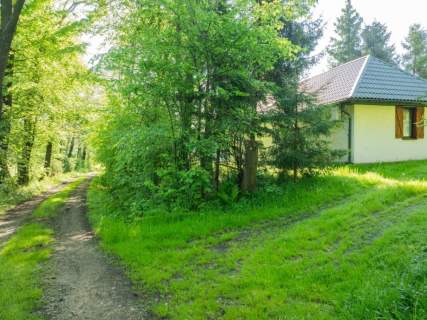 Klimatyczny dom wśród zieleni 9700 m Chronów