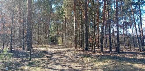 Nieruchomość nad zalewem z prywatnym lasem