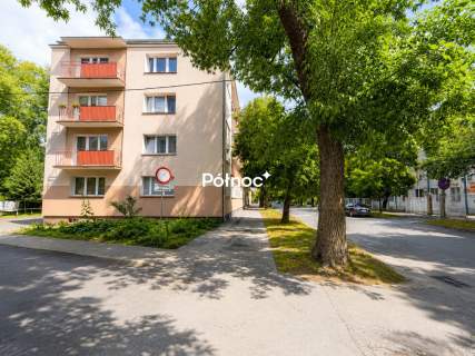 3-pokojowe mieszkanie na parterze ul. Sienkiewicza