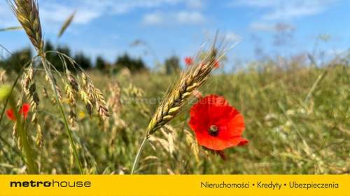Działka budowlana nad morzem 5,3 km od plaży